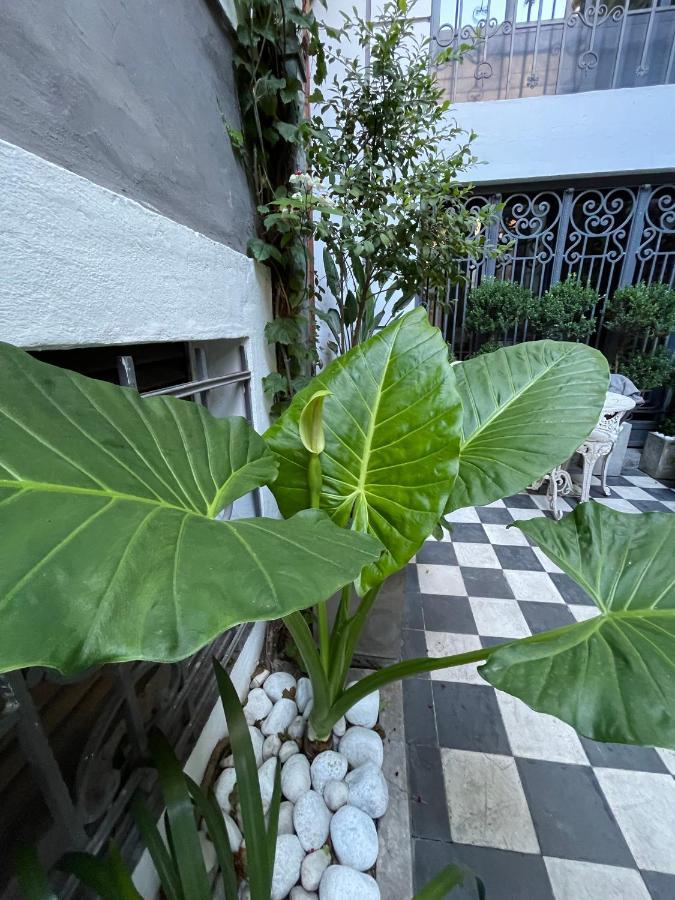 Le Petit Palais Bed & Breakfast Buenos Aires Dış mekan fotoğraf